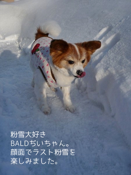 13yuki.3.jpg