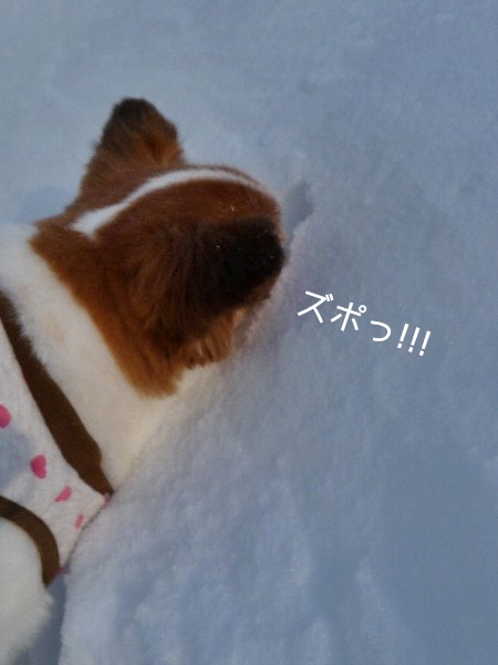 13yuki.4.jpg