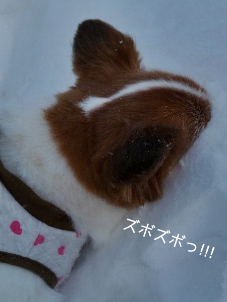 13yuki.5.jpg