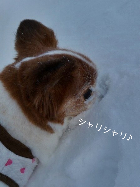 13yuki.6.jpg