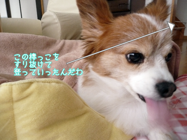 2013.1.18.3.bmp