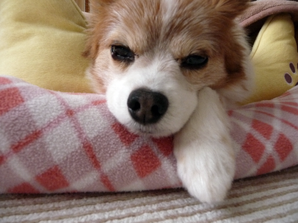 2013.1.18.4.bmp