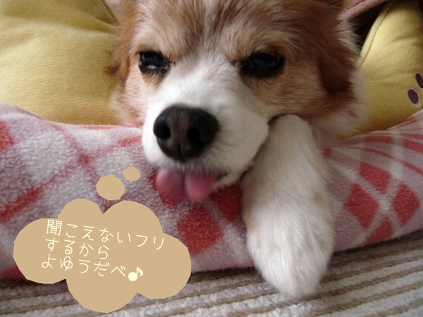 2013.1.18.8.bmp