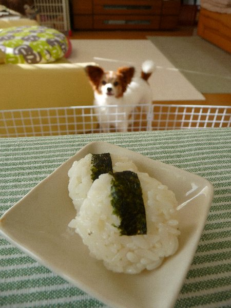 画像 001.pana15.jpg