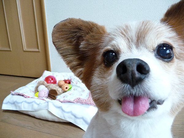 画像 001.pana27.jpg