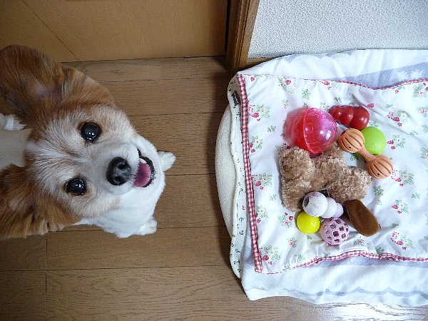 画像 002.pana27.jpg