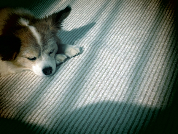 画像 003.ca3.jpg