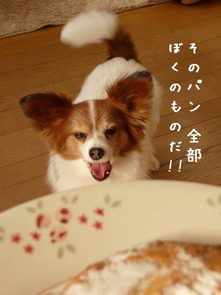 画像 003.pana11.jpg