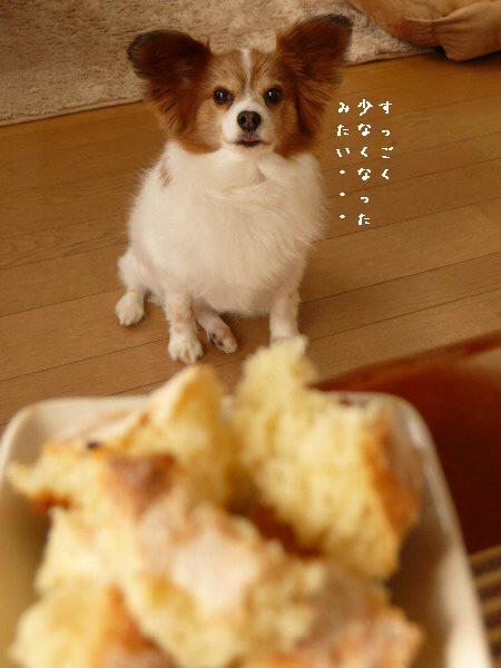 画像 004.pana11.jpg