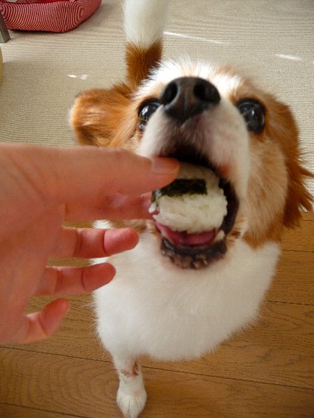 画像 004.pana15.jpg