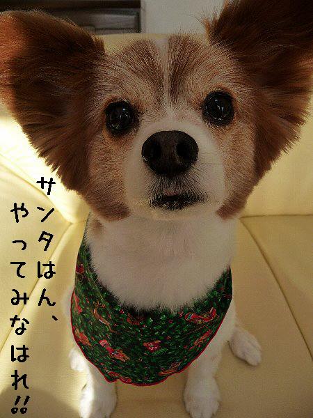 画像 004.pana24.jpg