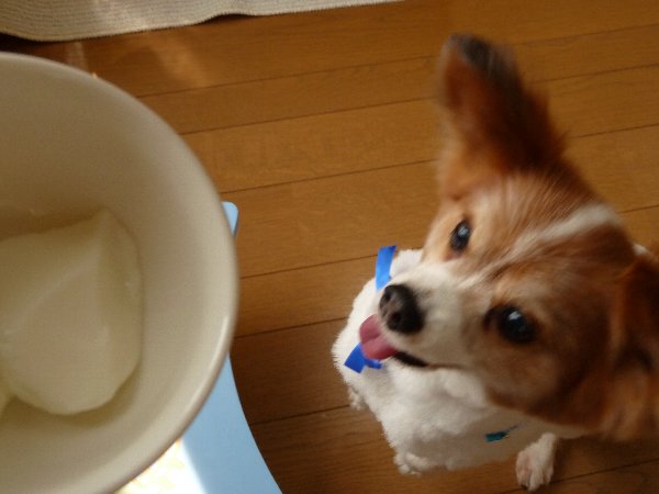 画像 005.pana13.jpg