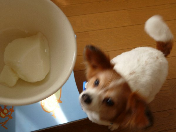 画像 006.pana13.jpg