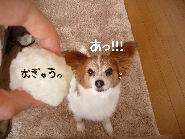 画像 006.pana17.jpg