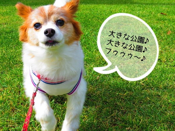 画像 008.ca3.jpg