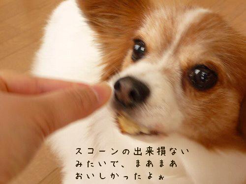 画像 009.pana11.jpg