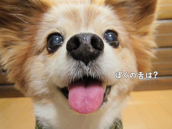 画像 011.ban3.jpg