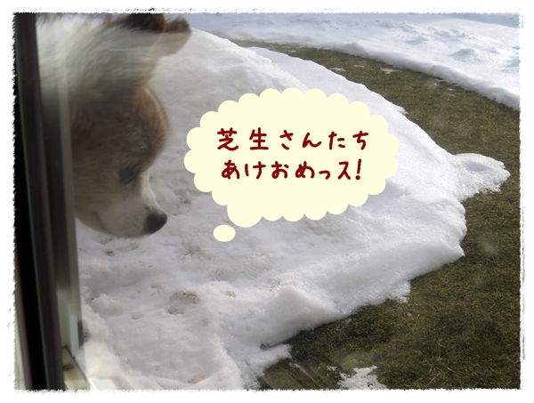 画像 011.ca12.jpg