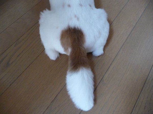 画像 011.pana14.jpg