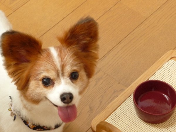画像 011.pana15.jpg
