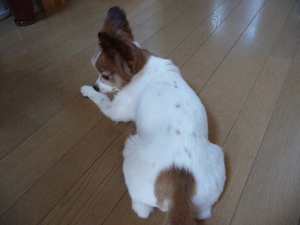 画像 012.pana14.jpg