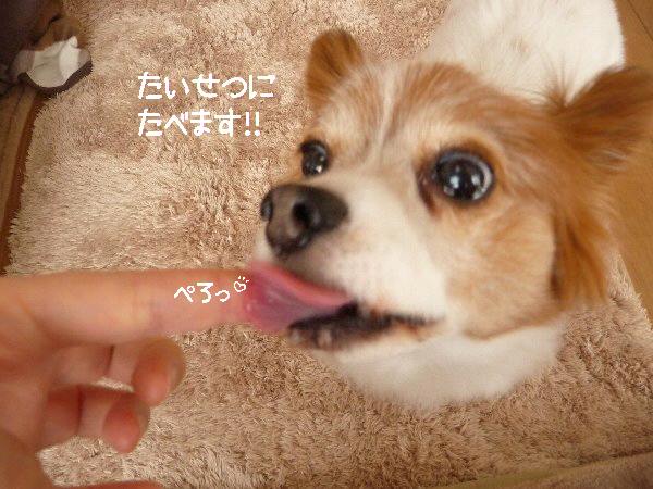 画像 012.pana17.jpg