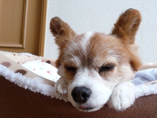 画像 012.pana27.jpg