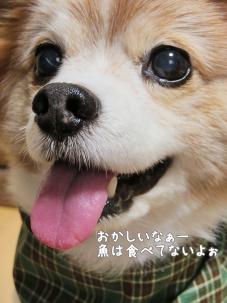 画像 013.ban5.jpg