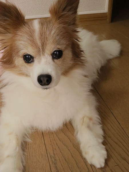 画像 014.ca8.jpg