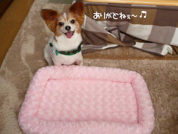 画像 015.pana16.jpg