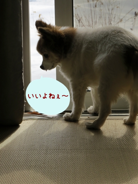 画像 017.ca12.jpg