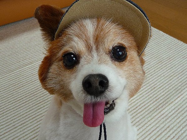 画像 017.pana26.jpg