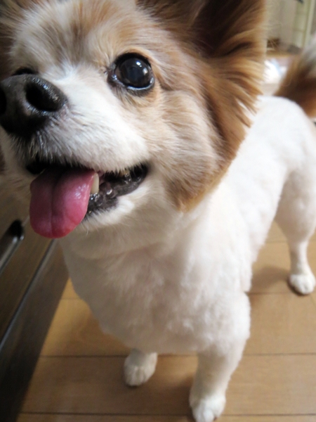 画像 018.ca5.jpg