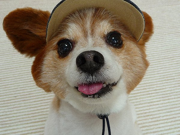 画像 018.pana26.jpg
