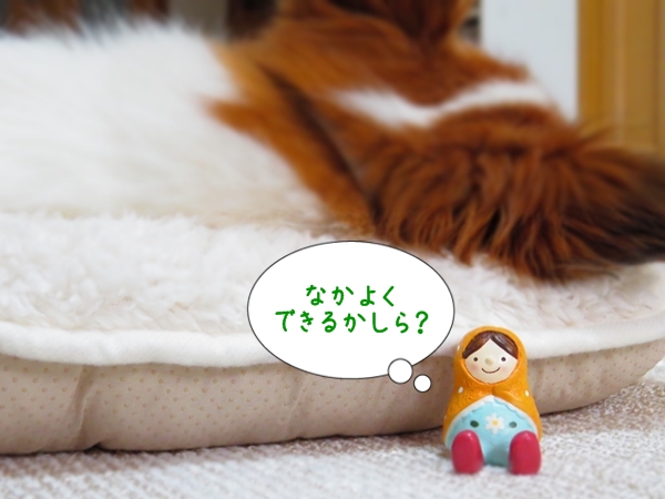 画像 020.ca10.jpg