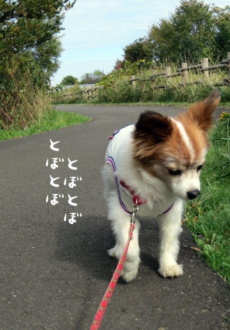 画像 020.ca3.jpg