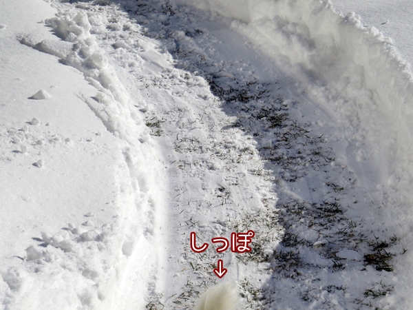 画像 021.ca12.jpg
