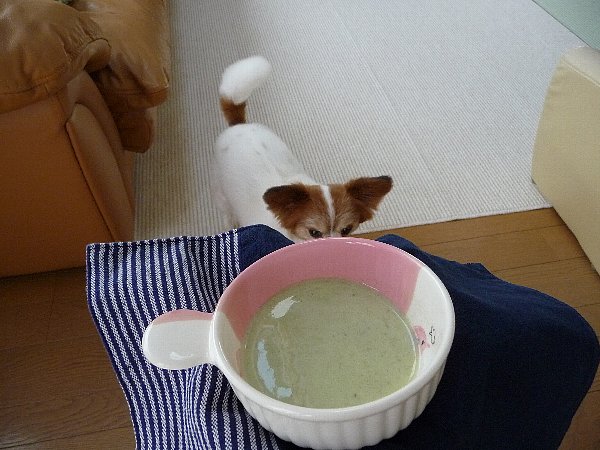 画像 021.pana.22.jpg
