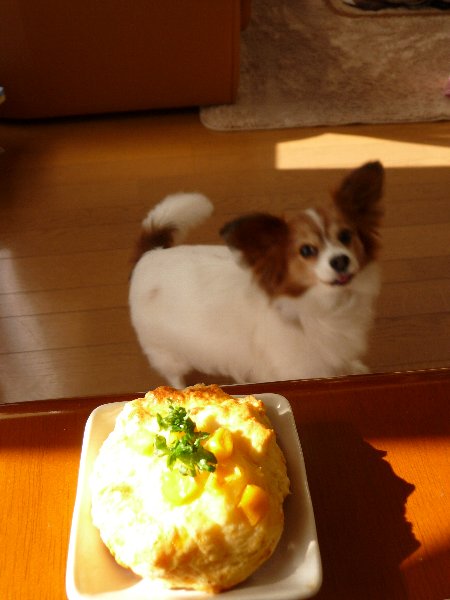 画像 021.pana11.jpg