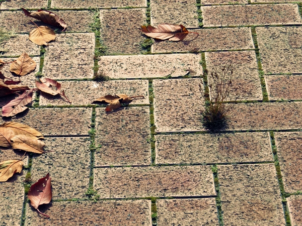 画像 022.ca11.jpg