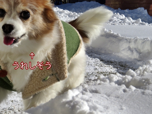 画像 022.ca12.jpg