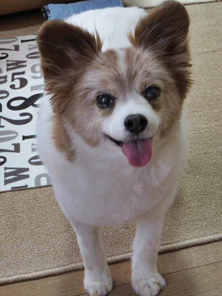 画像 022.ca13.jpg