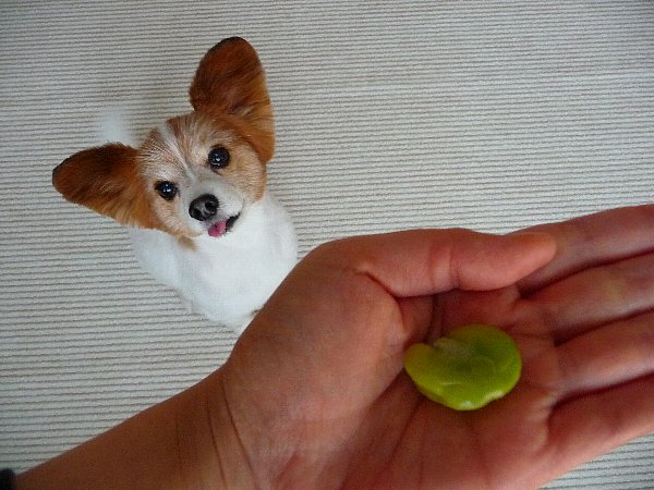 画像 022.pana26.jpg
