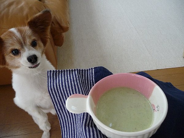 画像 023.pana.22.jpg