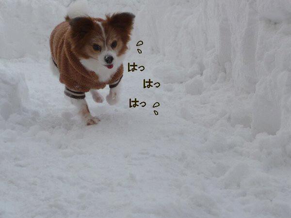 画像 023.pana17.jpg