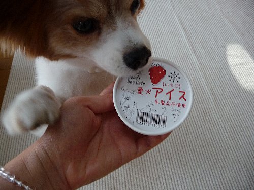 画像 024.pana.21.jpg