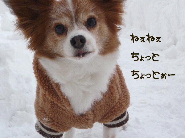 画像 024.pana17.jpg