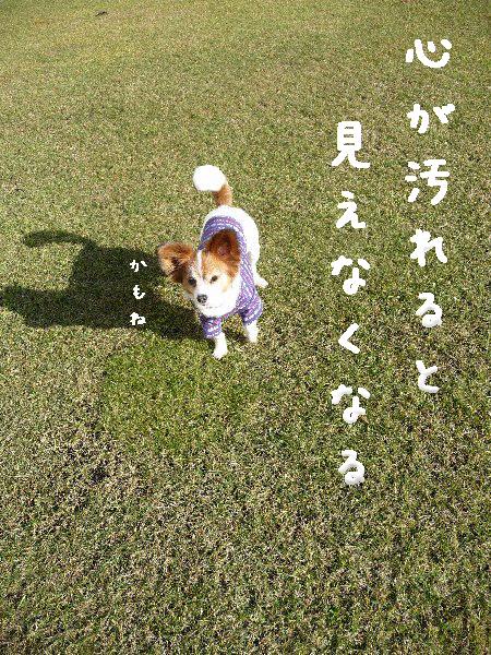 画像 024.pana8.jpg