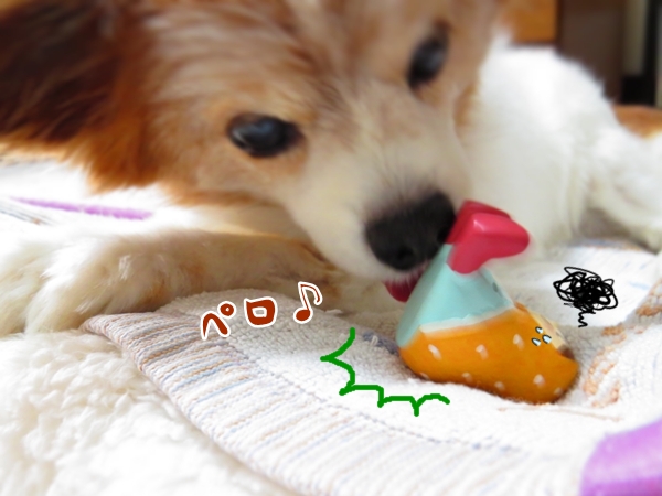 画像 026.ca10.jpg