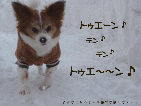 画像 026.pana17.jpg
